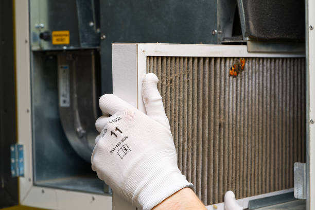 Best Home Air Vent Cleaning  in Siesta Acres, TX