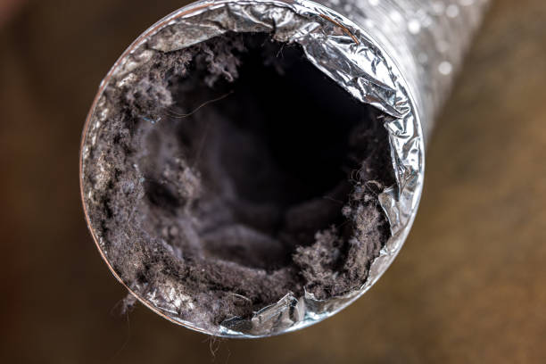 Best Air Duct Cleaning Near Me  in Siesta Acres, TX